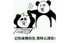 记你麻痹的仇谁特么理你! - 反怼「熊猫头记仇」表情包