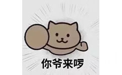 你爷来啰(猫咪表情包)