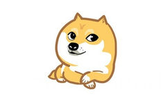 doge - doge狗狗