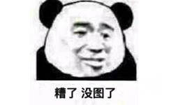 糟了 没图了（熊猫头斗图表情包）