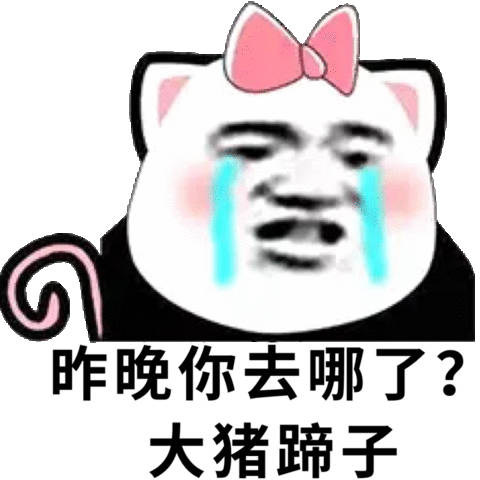 昨晚你去哪了?大猪蹄