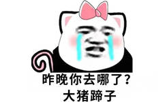 昨晚你去哪了?大猪蹄