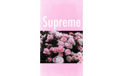 supreme 壁纸 - 一组粉色系壁纸