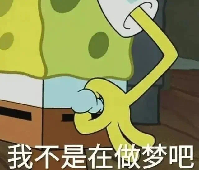 我不是在做梦吧