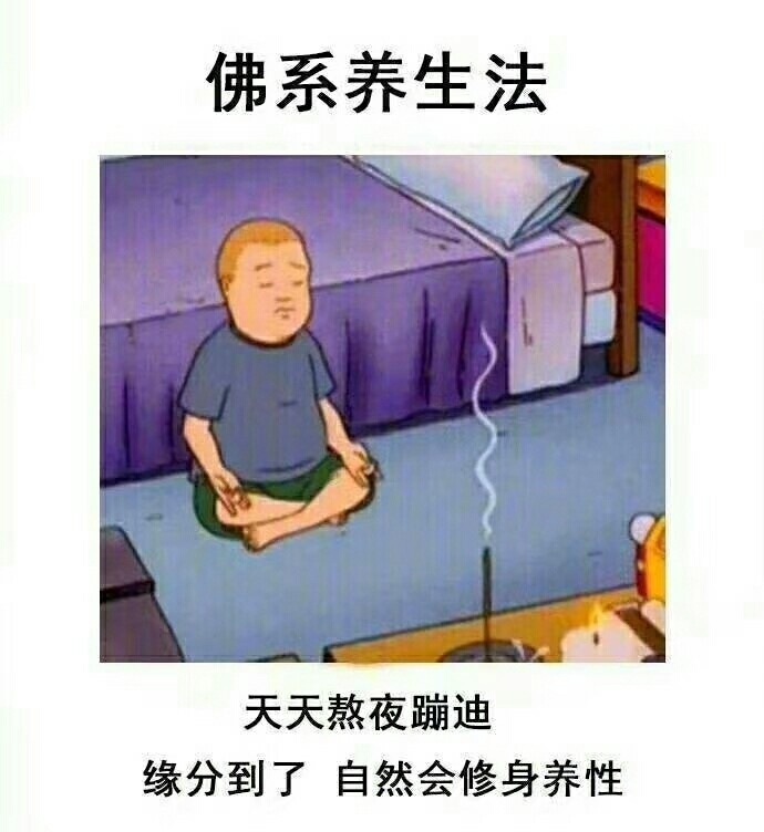 佛系养生法天天熬夜蹦迪缘分到了自然会修身养性 - 天天过着我的佛系生活，缘分到了自然会有 ​​​​