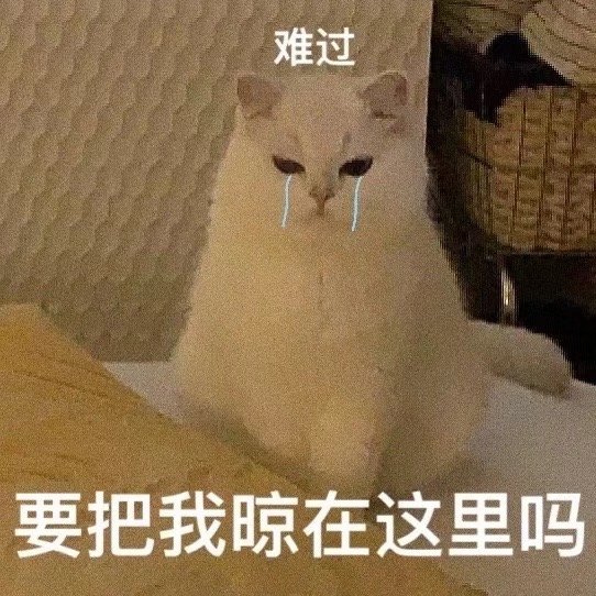 难过要把我晾在这里吗(猫咪表情包)