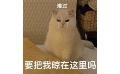 难过要把我晾在这里吗(猫咪表情包)