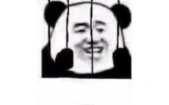 (熊猫头坐牢模板) - 铁窗里的熊猫头系列