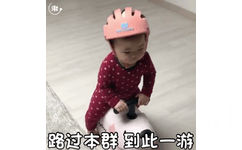 路过本群 到此一游（黄夏温动图） - 萌娃黄夏温 GIF 动态表情包