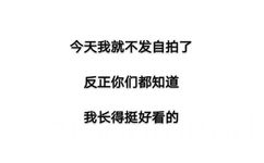 今天我就不发自拍了，反正你们都知道，我长得挺好看的 - 一组实用的纯文字表情包