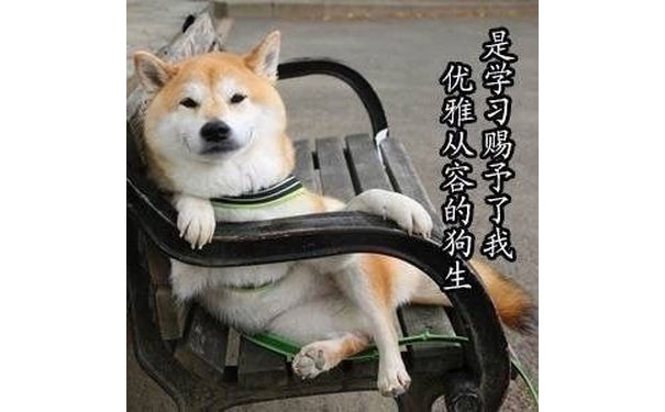 是学习赐予了我优雅从容的狗生 - 做个爱学习的 doge