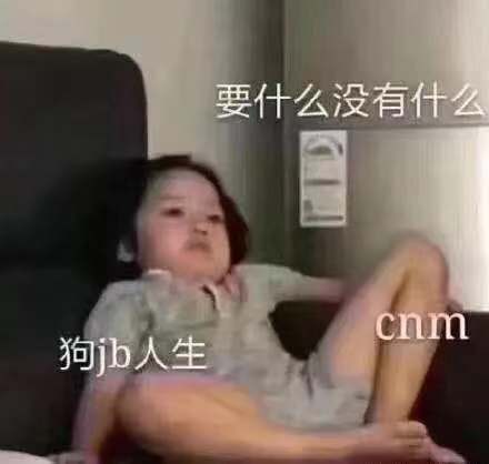 要什么没有什么cnm 狗jb人生