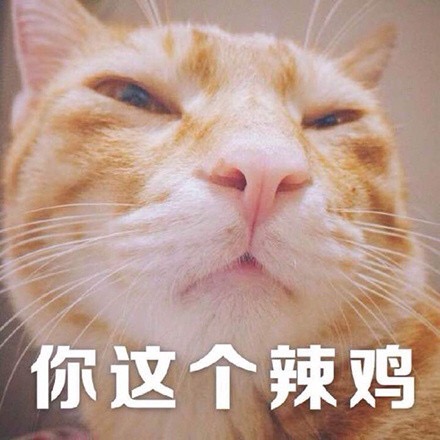 你这个辣鸡 - 一组萌萌的猫咪表情包  吸猫(=^o^=) ​