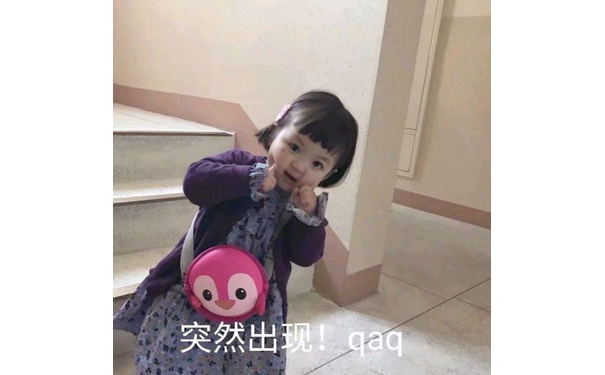 突然出现!qaq