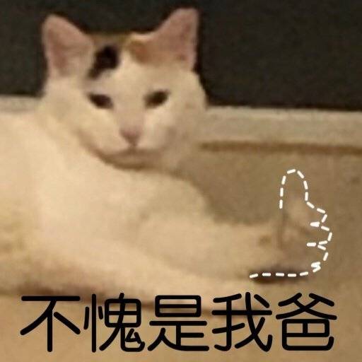 不愧是我爸（猫咪点赞）