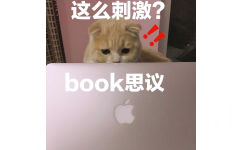 这么刺激?book思议 - 捕获一枚小猪喵