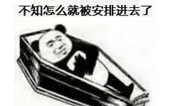 不知怎么就被安排进去了 - 快放我出去，熊猫头棺材板儿表情包