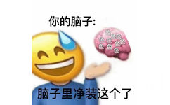 你的脑子：色脑子里净装这个了