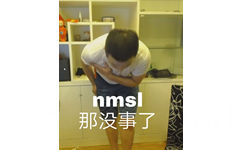 那没事了（nmsl 药酱药水哥表情包）