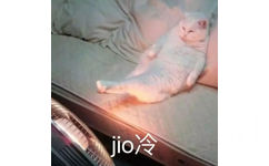 jo冷(猫猫烤火表情包)