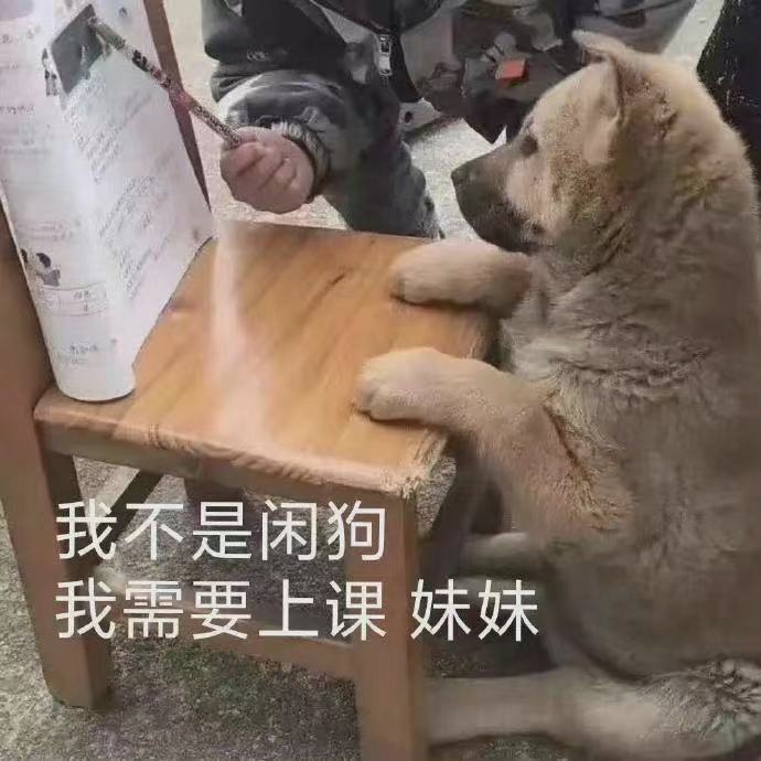 我不是闲狗我需要上课妹妹(狗勾表情包)