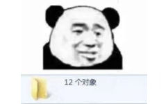 12个对象(熊猫头表情包)