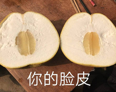 你的脸皮这么厚