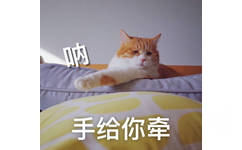 猫咪：呐，手给你签