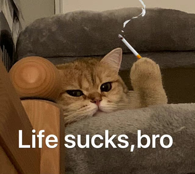 Life sucks bro