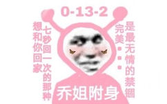 0-13-2想和你回家七秒回一次的那种完美:是最无情的禁锢乔姐附身 - 粉红小妹王者荣耀表情包