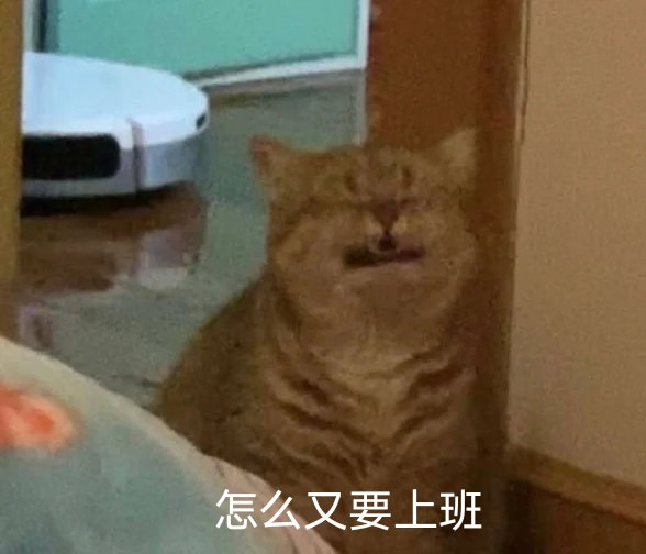 怎么又要上班(猫猫表情包)