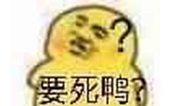 要死鸭？