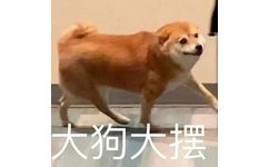 大狗大摆