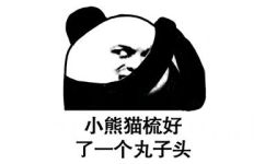 小熊猫梳好了一个丸子头 - 熊猫头发型梳理全过程 ​