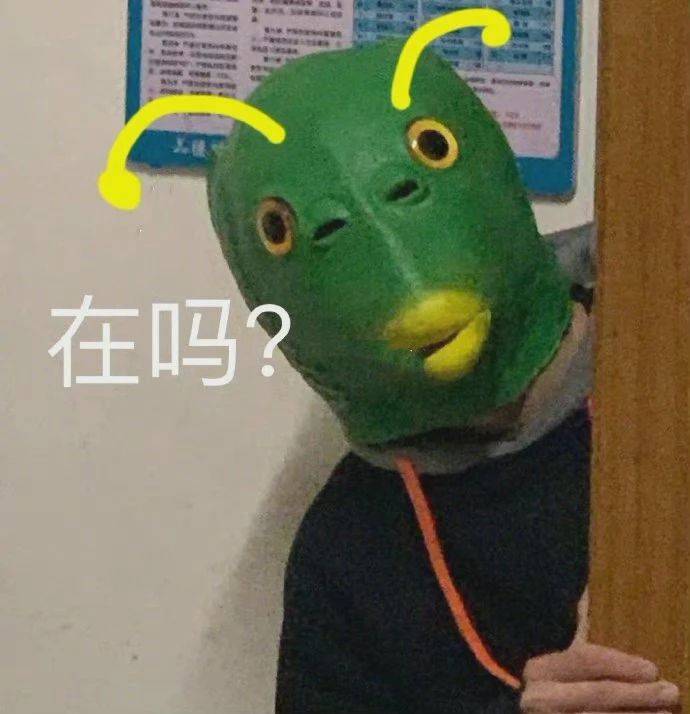 在吗?(绿头鱼表情包)