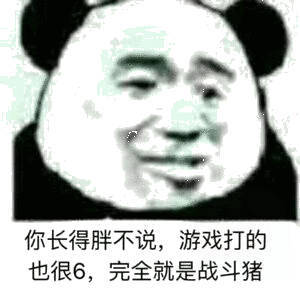 你长得胖不说,游戏打的也很6完全就是战斗猪