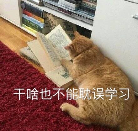 干啥也不能耽误学习