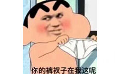 你的裤衩子在我这呢（蜡笔小新）