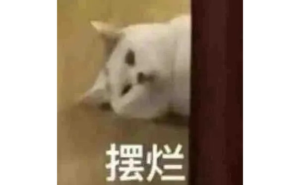 猫猫摆烂表情包