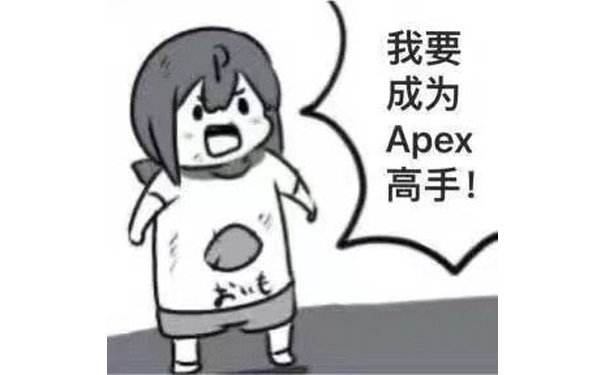 我要成为Apex 高手!