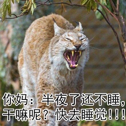 你妈：半夜了还不睡，干嘛呢？快去睡觉！！ - 暑假在家的我