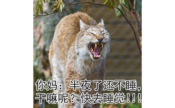 你妈：半夜了还不睡，干嘛呢？快去睡觉！！ - 暑假在家的我