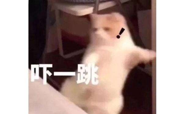 猫咪吓一跳