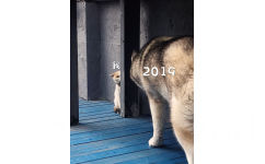 躲避2019的我（猫咪 狗） - 一组2019表情包，祝大家新年快乐！