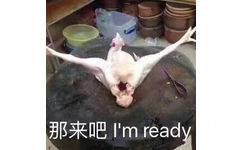 那来吧 I'm ready（鸡）