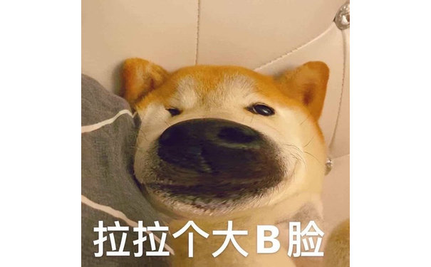 拉拉个大B脸(狗狗表情包)