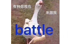 有种你现在来跟我battle(嚣张的鸭子)