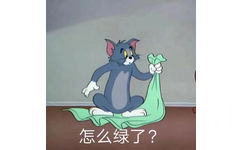 怎么绿了? - 猫和老鼠表情包