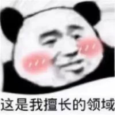 这是我擅长的领域