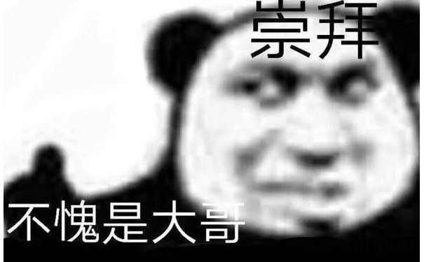 崇拜不愧是大哥